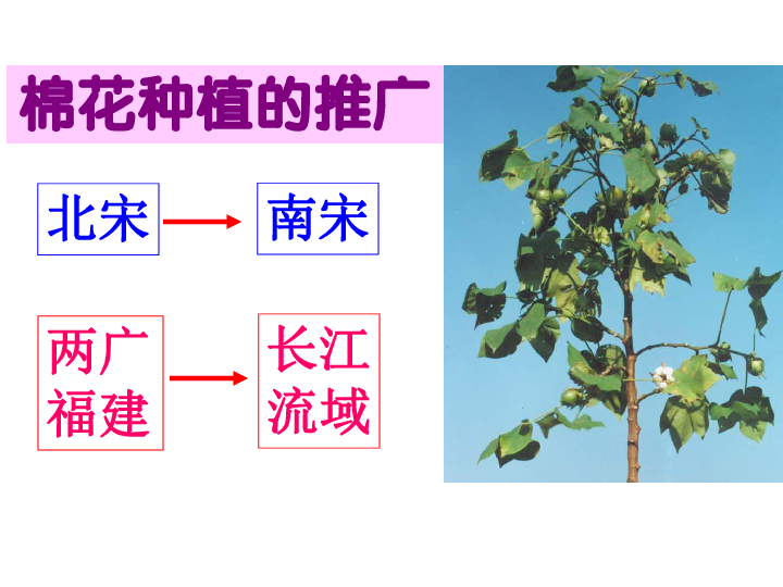 2019年12月泉州经济总量_泉州湾经济带(2)