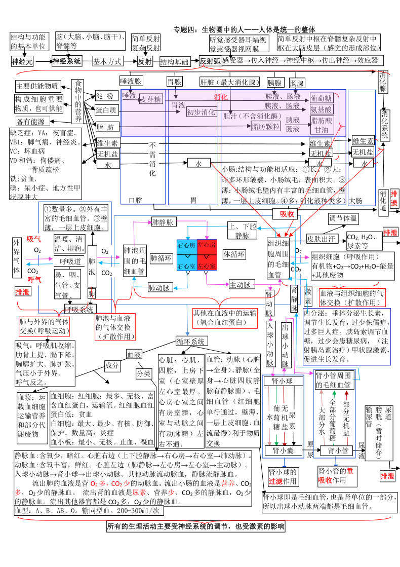 中国的人口思维导图_...外专家皆认为:思维导图为人类提供了有效思维的图形工