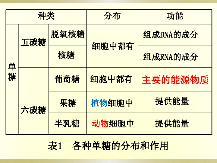 汕头人口城市排名第几_汕头城市图片(3)