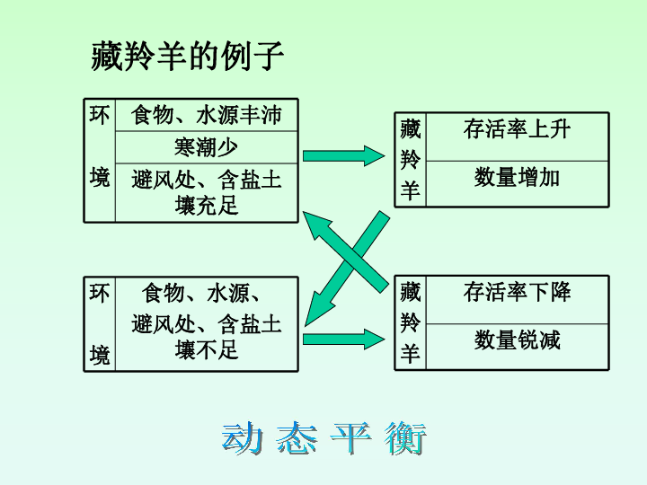 一个人口总体的特征_人口与人种 课件(3)