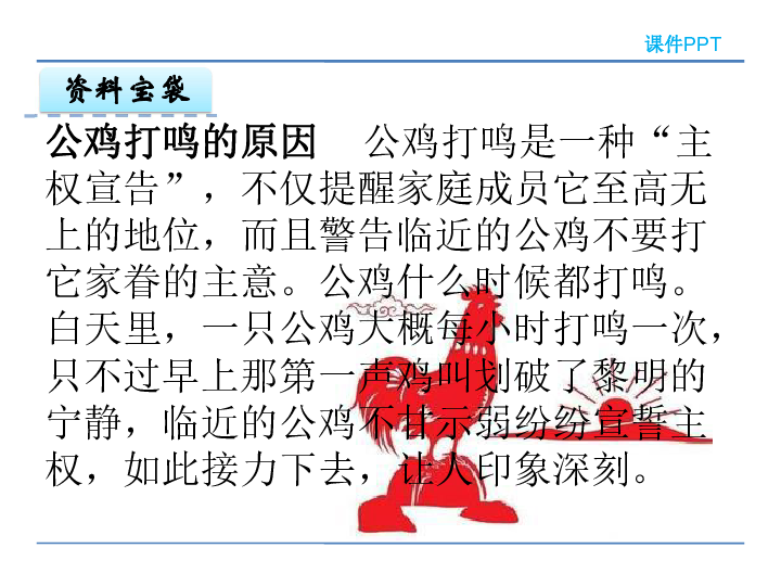 公鸡打鸣曲谱_公鸡打鸣图片(2)