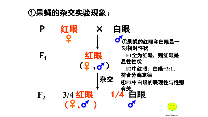 湖南茶陵谭姓人口比例_湖南茶陵红灯区美女