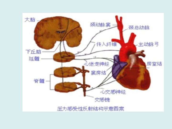 fda6ce48dea3bc620983732ecc4b2ac6.png