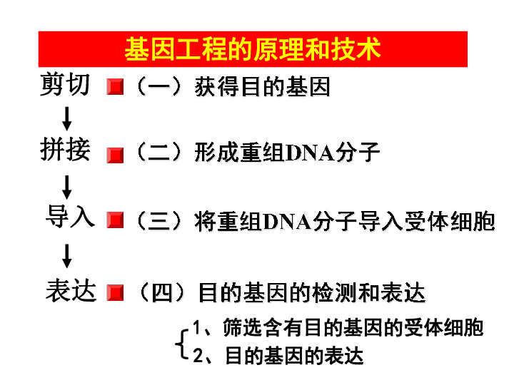 基因工程所用的遗传学原理是什么_幸福是什么图片(3)