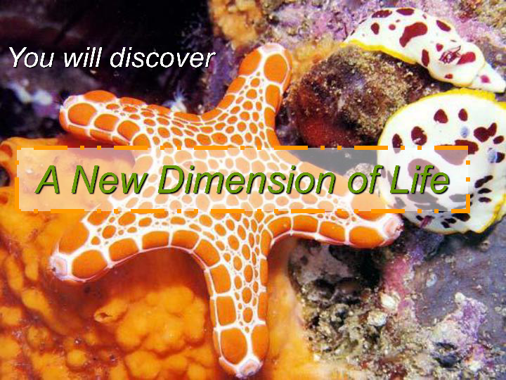 m7u3 a new dimension of life[下学期]