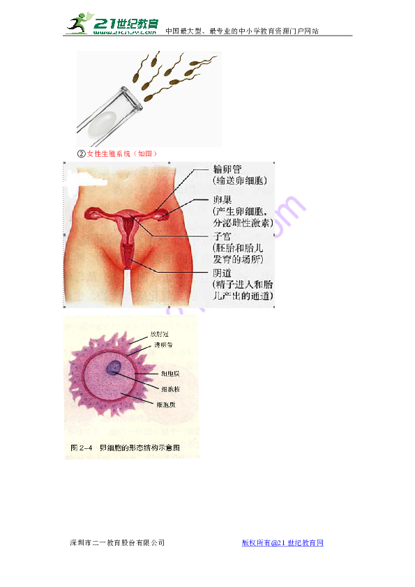 人口与生殖_人口与国情手抄报(2)