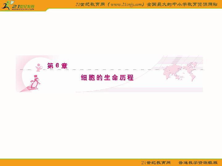 人口增殖下载_细胞的增殖思维导图(2)