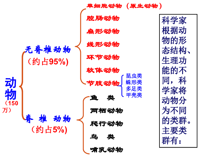 生物腔肠动物思维导图图片