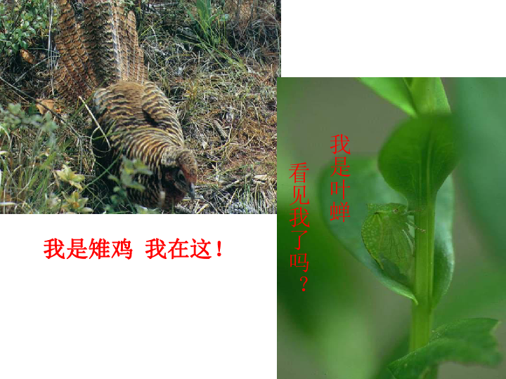 1307d805ae675af7c5d49eb4b5318e4a.png