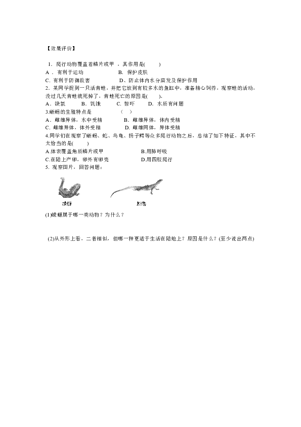 19faae3f2dce16db77a337a91802362d.png