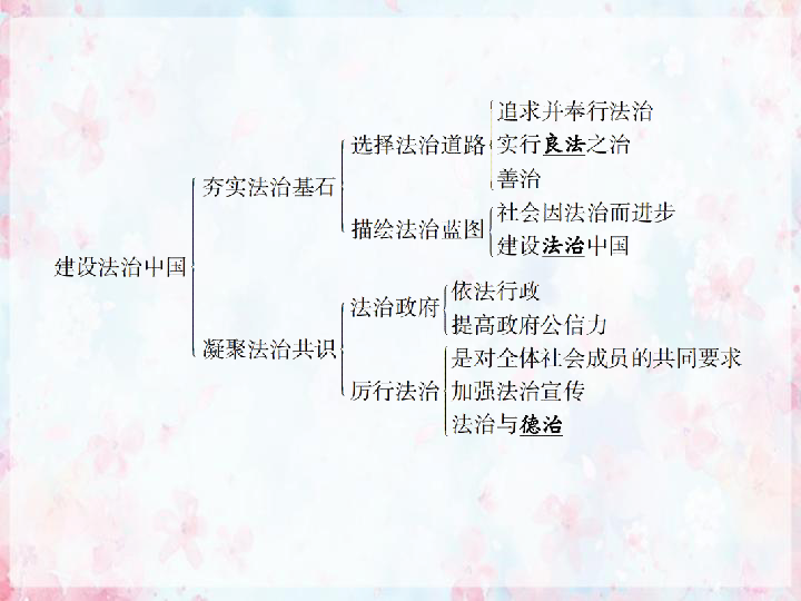 41夯实法治基石课件共48张ppt