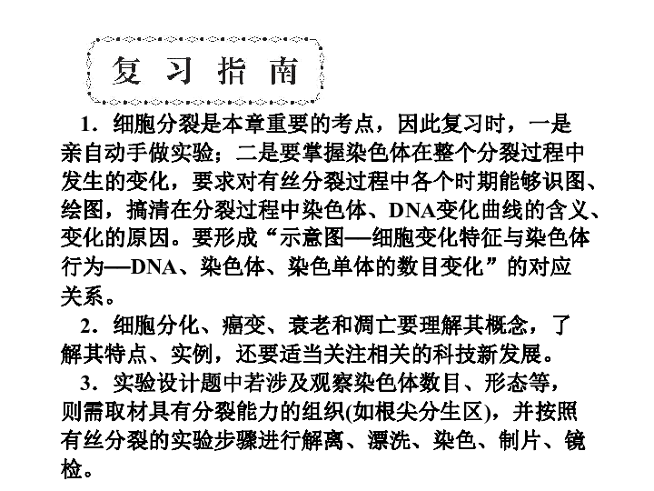 人口增殖下载_细胞的增殖思维导图