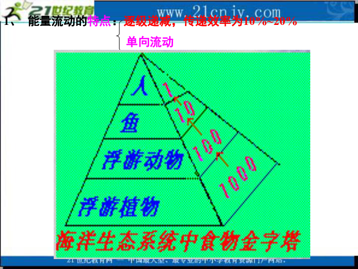 森林循环圈人口_血液循环图(3)