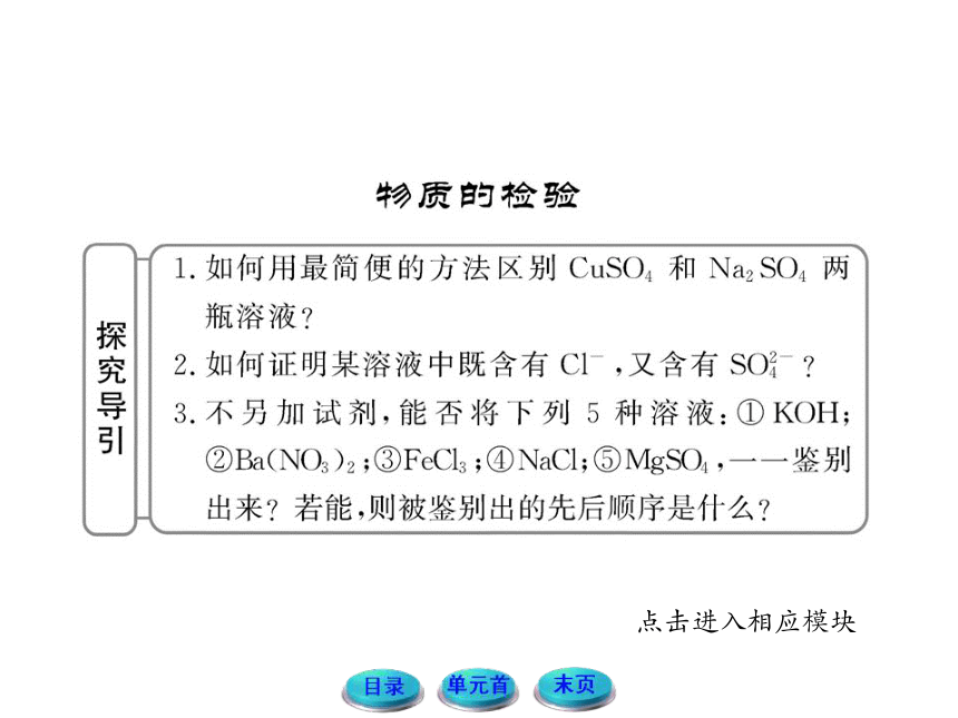 11-12版高中化学全程学习方略配套课件：1.2.2常见物质的检验（苏教版必修1）