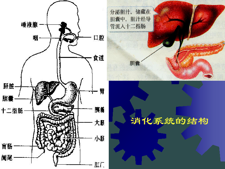人口与物质_人口与国情手抄报