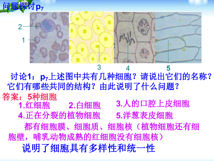 3fe7e0b22f9d7760b99d27a119208552.png