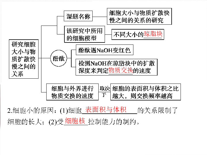 人口增殖下载_细胞的增殖思维导图(2)