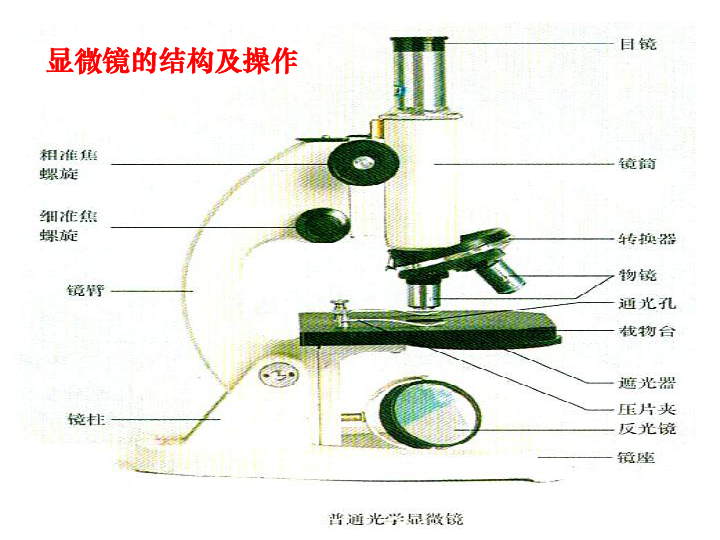 46642bb68d52c32f7a9c7879c5dda99e.png
