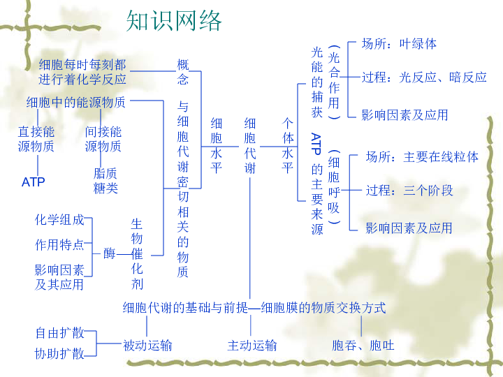 4d337c9391768983dc661b7ef1649f5e.png