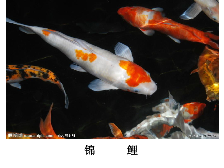 4f5ce1387ceb69266fe69a6f271b7e00.png