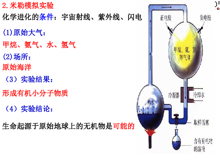 42遗传与进化复习