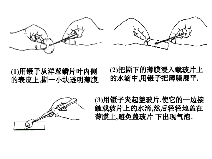 5644c8bd8f7793134ae125604f68a668.png