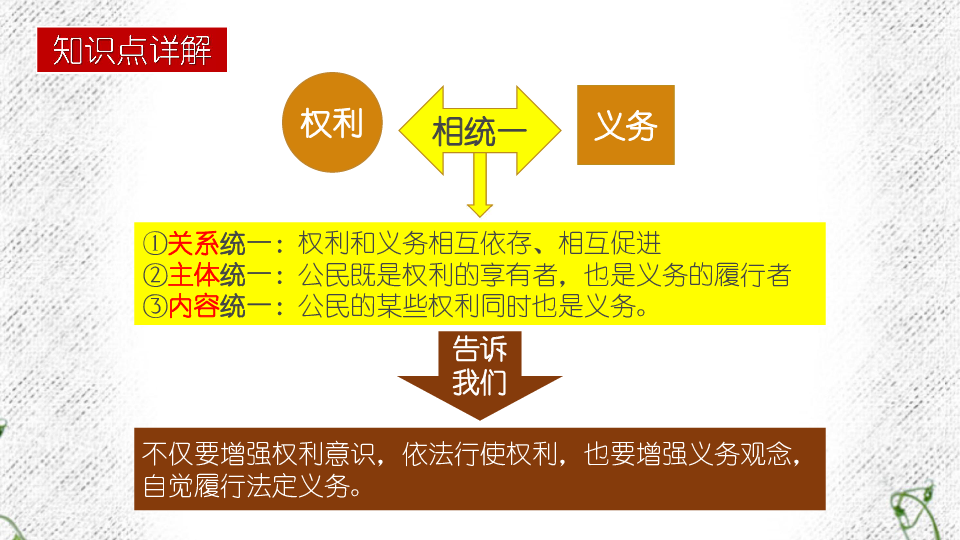 八下道德与法治第二单元理解权利义务复习课件(共18张ppt)