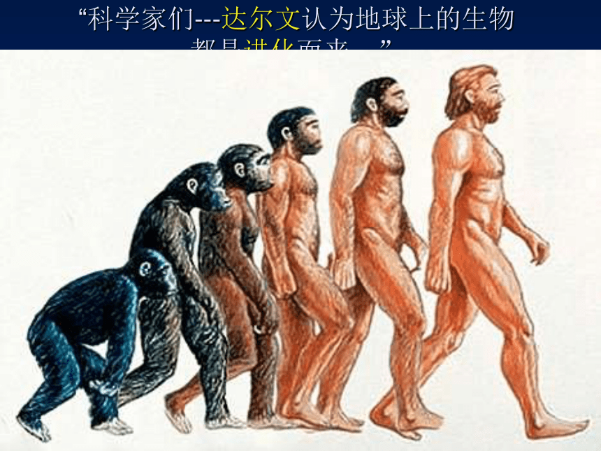 湘版六年级科学下册生物的进化2 PPT课件