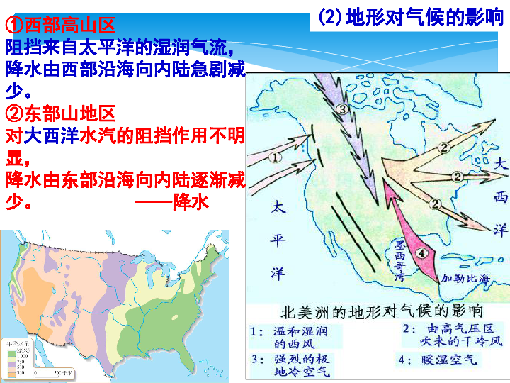 美洲洲总人口有多少2020_美洲动物有哪些