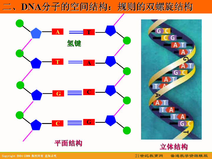 高中生物精华课件:dna分子的结构