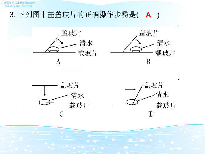 九堡总人口是多少_会长是女仆大人(3)