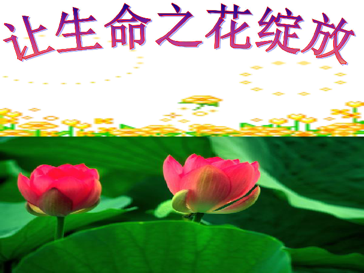 生命之花简谱_生命之花图片