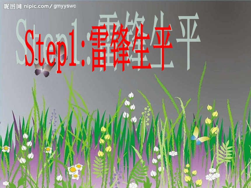 课件预览