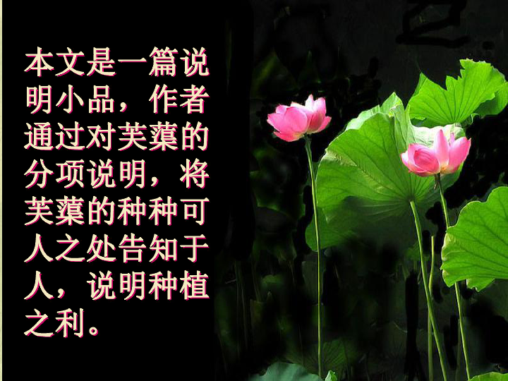 《芙蕖》课件