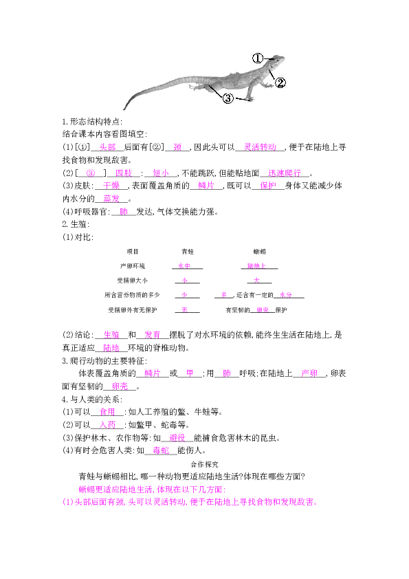 84c1a19e998388962f7faa9fdf7872e2.png