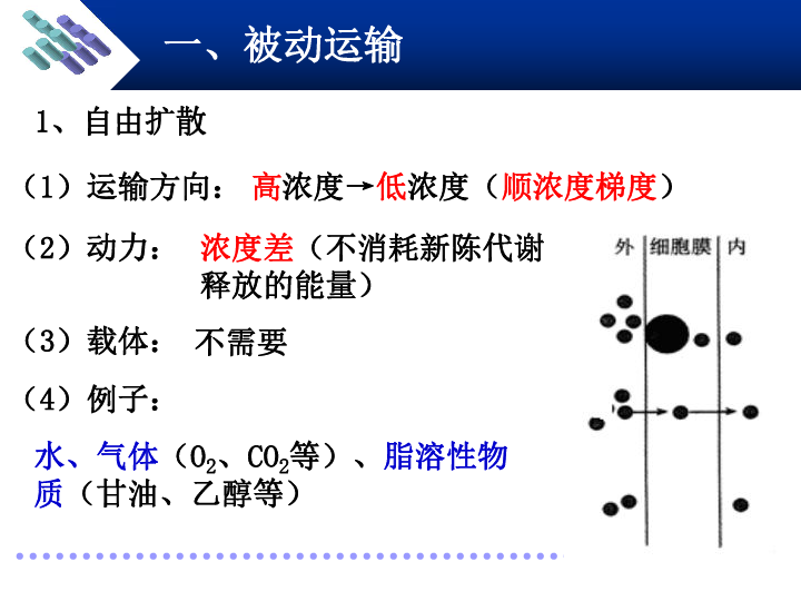 汕头人口城市排名第几_汕头城市图片(3)