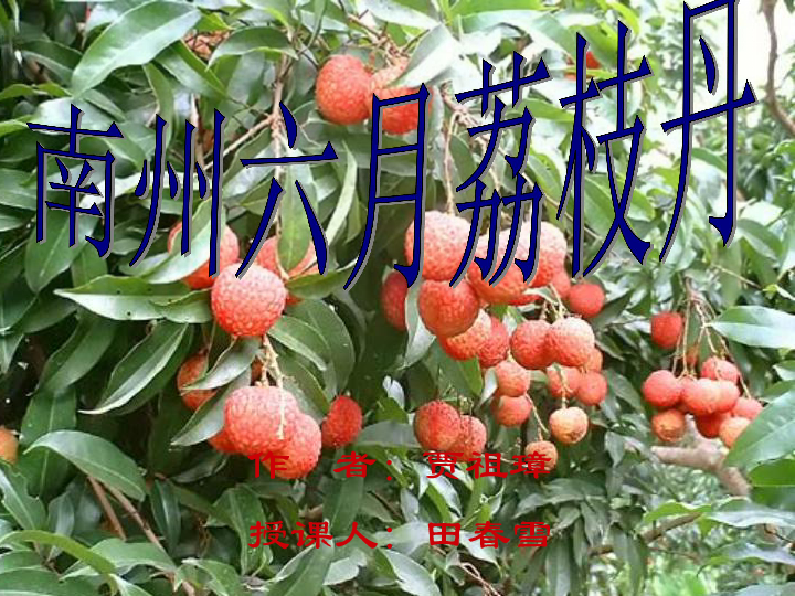 南州多少人口_城口多少人口(3)