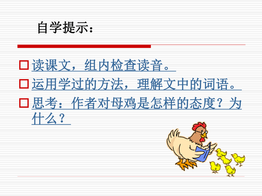 语文六年级下冀教版15《母鸡》课件2