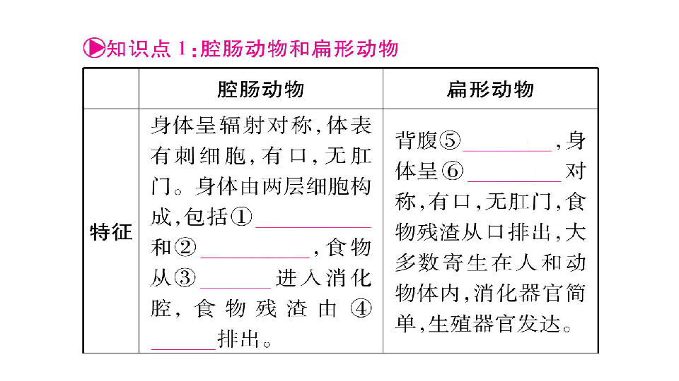 八年上册人口反思(3)