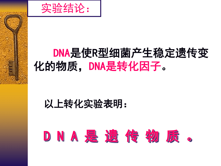 dna是主要的遗传物质