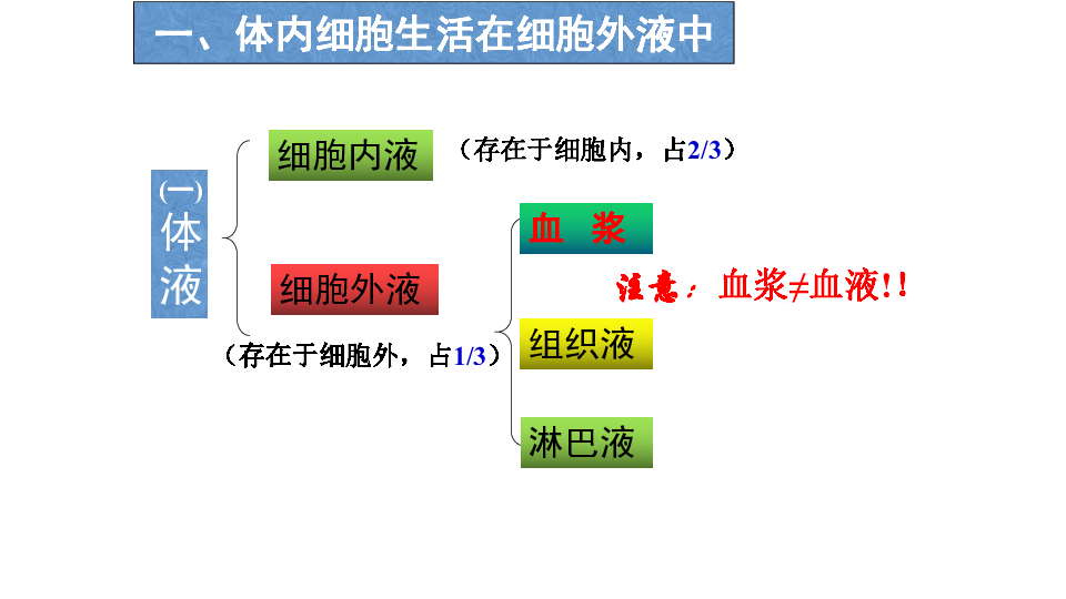 2019人教版選擇性必修一第1章第1節細胞生活的環境24張ppt