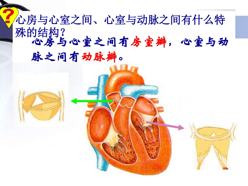输送血液的泵——心脏课件（2课时）