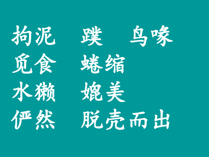 a037a4bdc0078be41a84dc5574135541.png