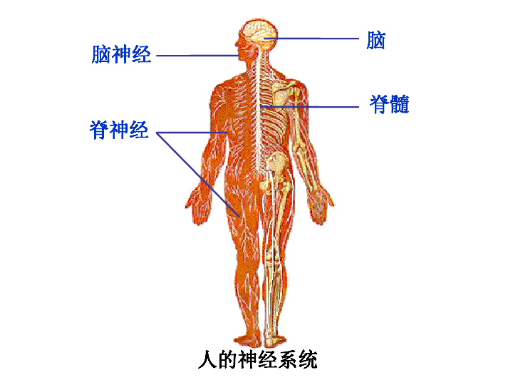 a23c6a99a650500067079a57e847e5a9.png