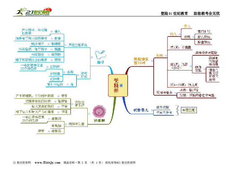 新生命的诞生思维导图图片