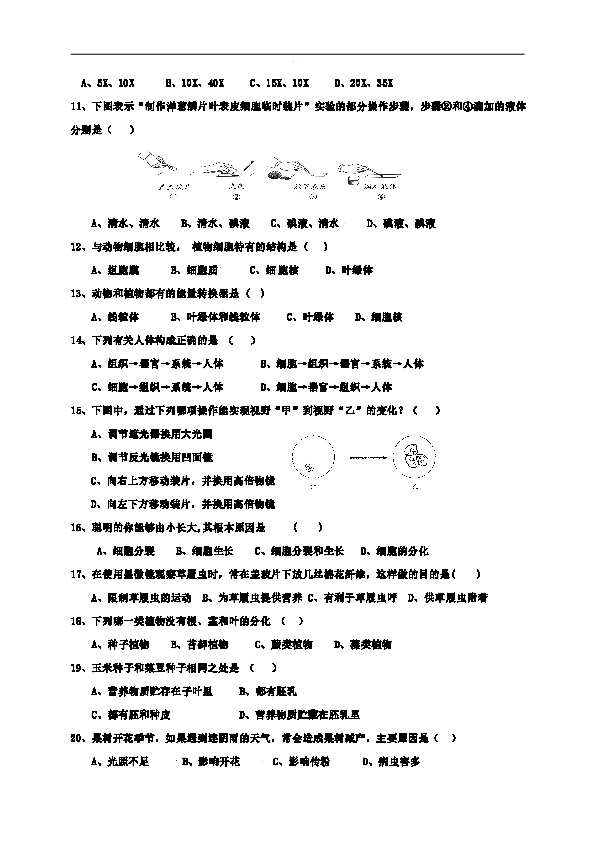 2019广东江门江海区GDP_江门江海区地图(3)