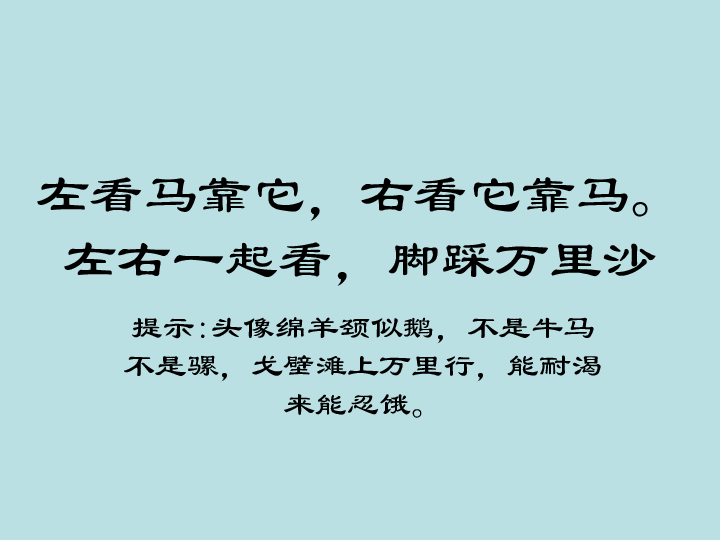 小骆驼简谱_骑上我的小骆驼简谱(2)