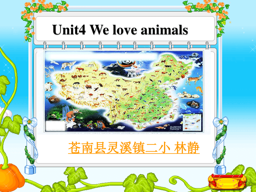 unit4 we love animals part C culture