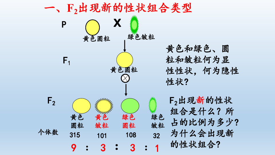 浙科版2019生物必修212孟德爾從兩對相對性狀的雜交實