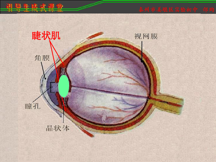 配镜矫正视力什么原理_散光是什么配镜原理(3)